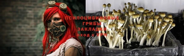 эйфоретик Армянск