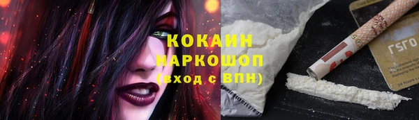 стаф Арсеньев