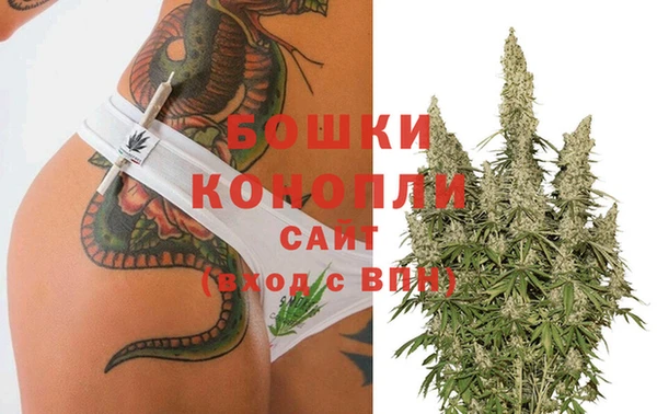 крисы Аркадак