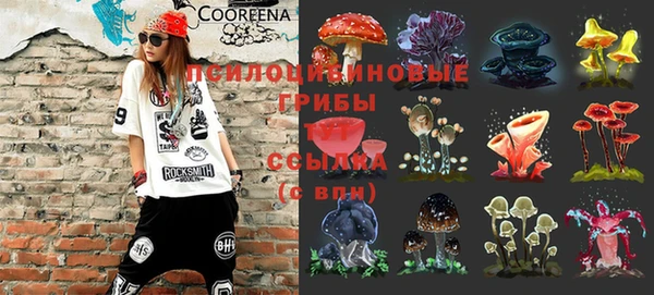 стаф Арсеньев