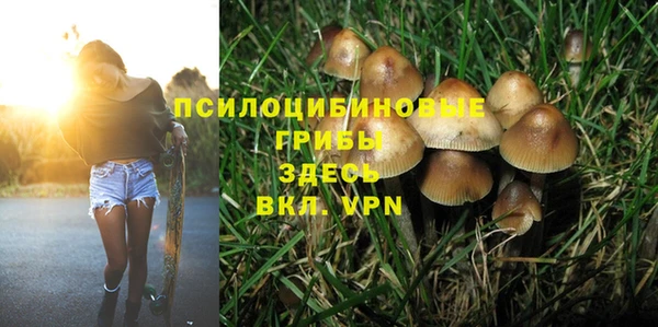крисы Аркадак