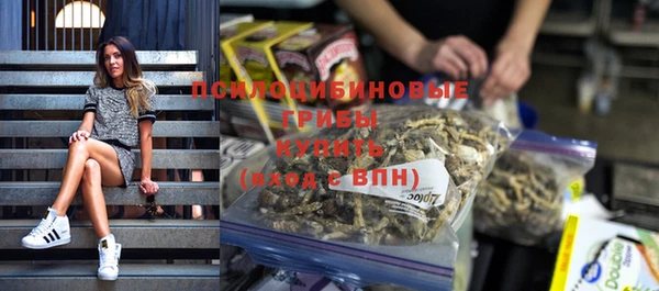 стаф Арсеньев