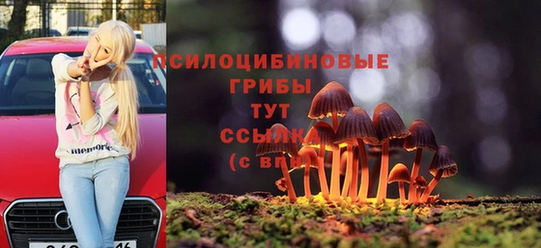 крисы Аркадак