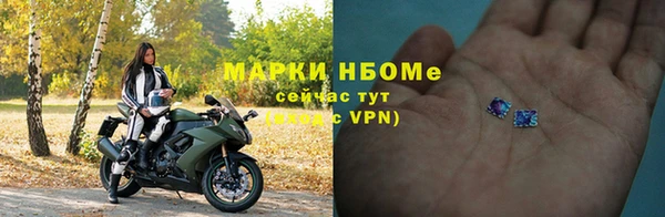 стаф Арсеньев