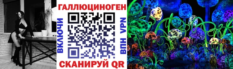MEGA как зайти  Гаврилов-Ям  Псилоцибиновые грибы мицелий 